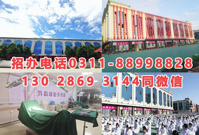 石家莊天使護士學(xué)校2026年招生分數(shù)線是多少？